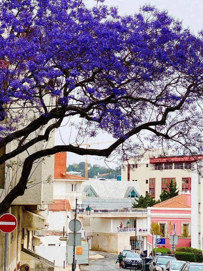 Cascais Sun Apartment Dış mekan fotoğraf